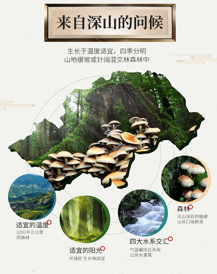 山珍汇彩-详情_09.jpg