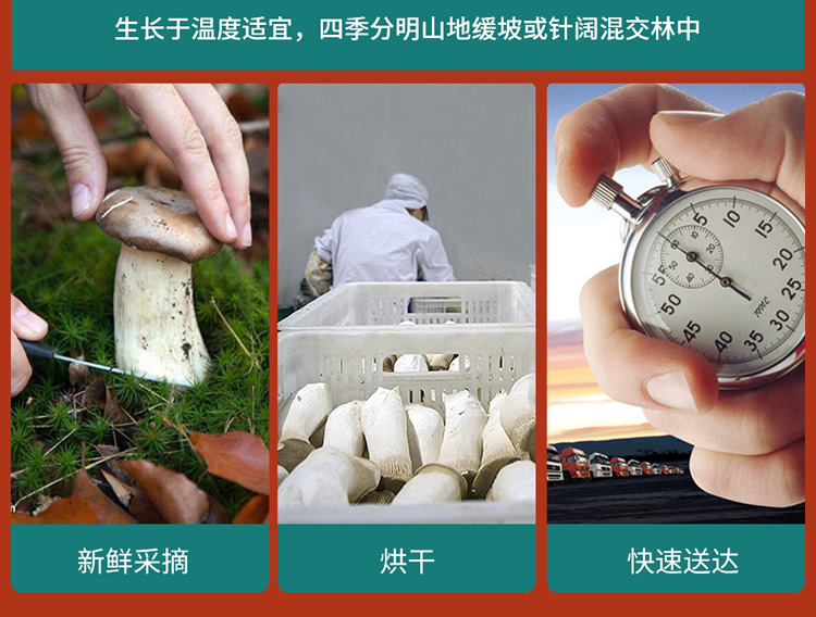 菌品盛世_11.jpg