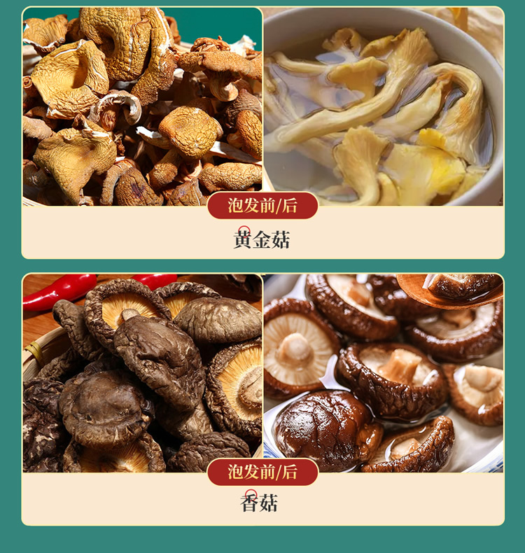 菌品盛世_09.jpg