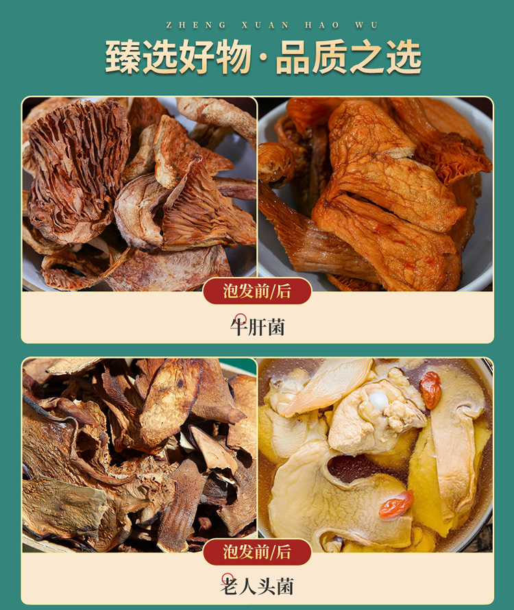 菌品盛世_06.jpg