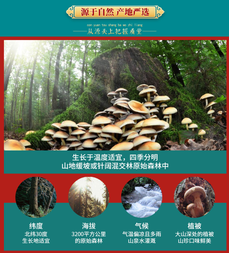 山珍悦彩详情_12.jpg