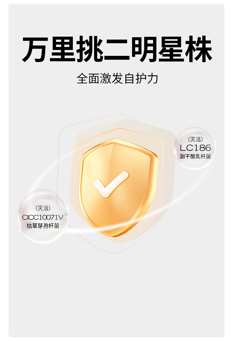 详情_008.jpg