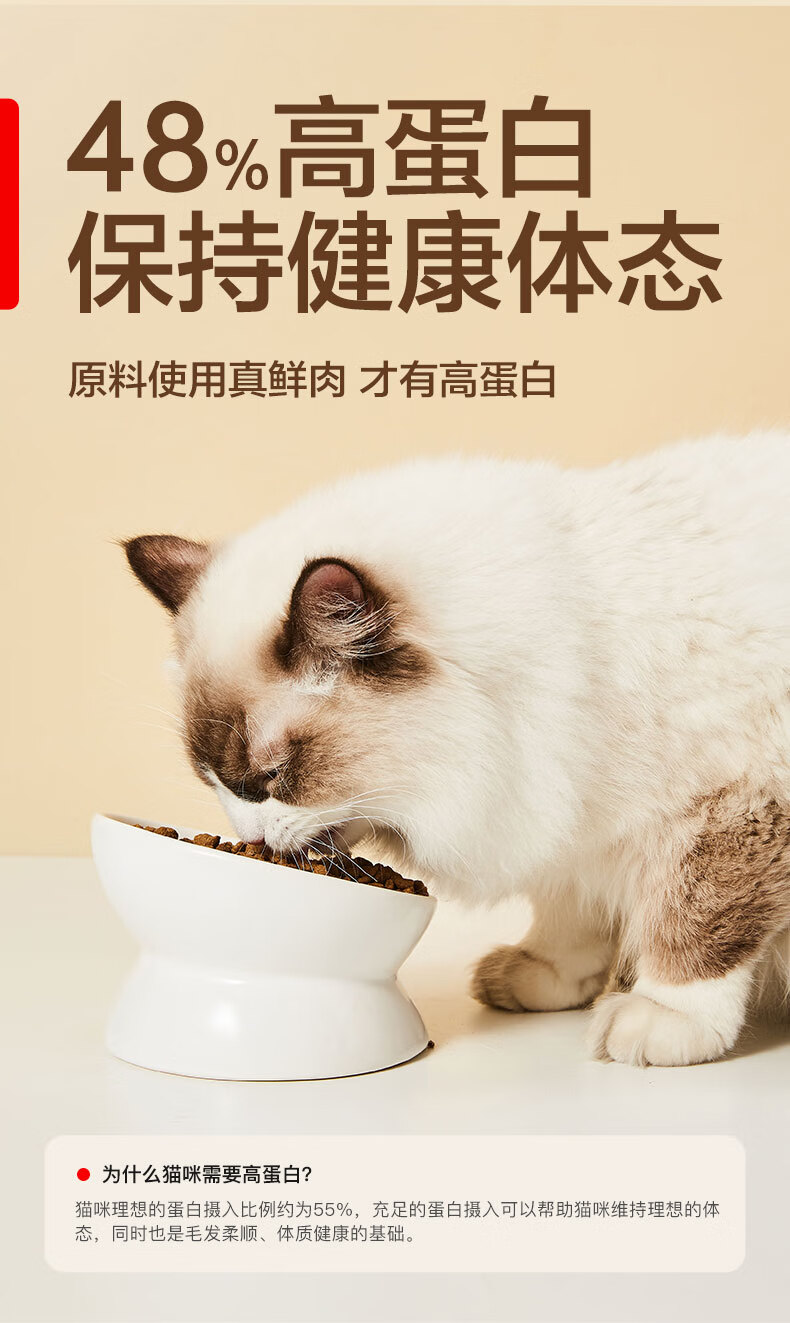 详情_007.jpg