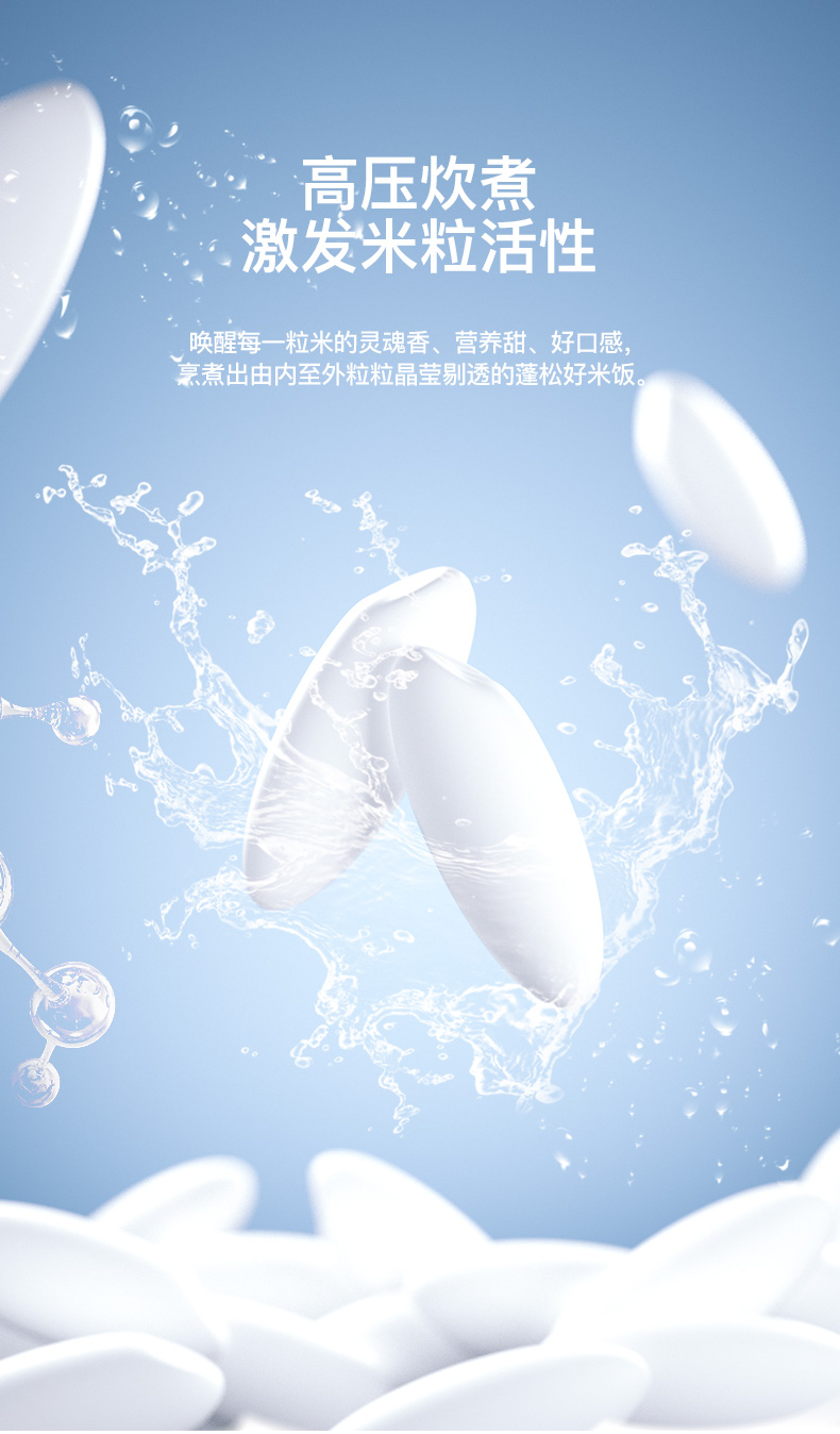 电压力锅LD-YL4080_05.jpg