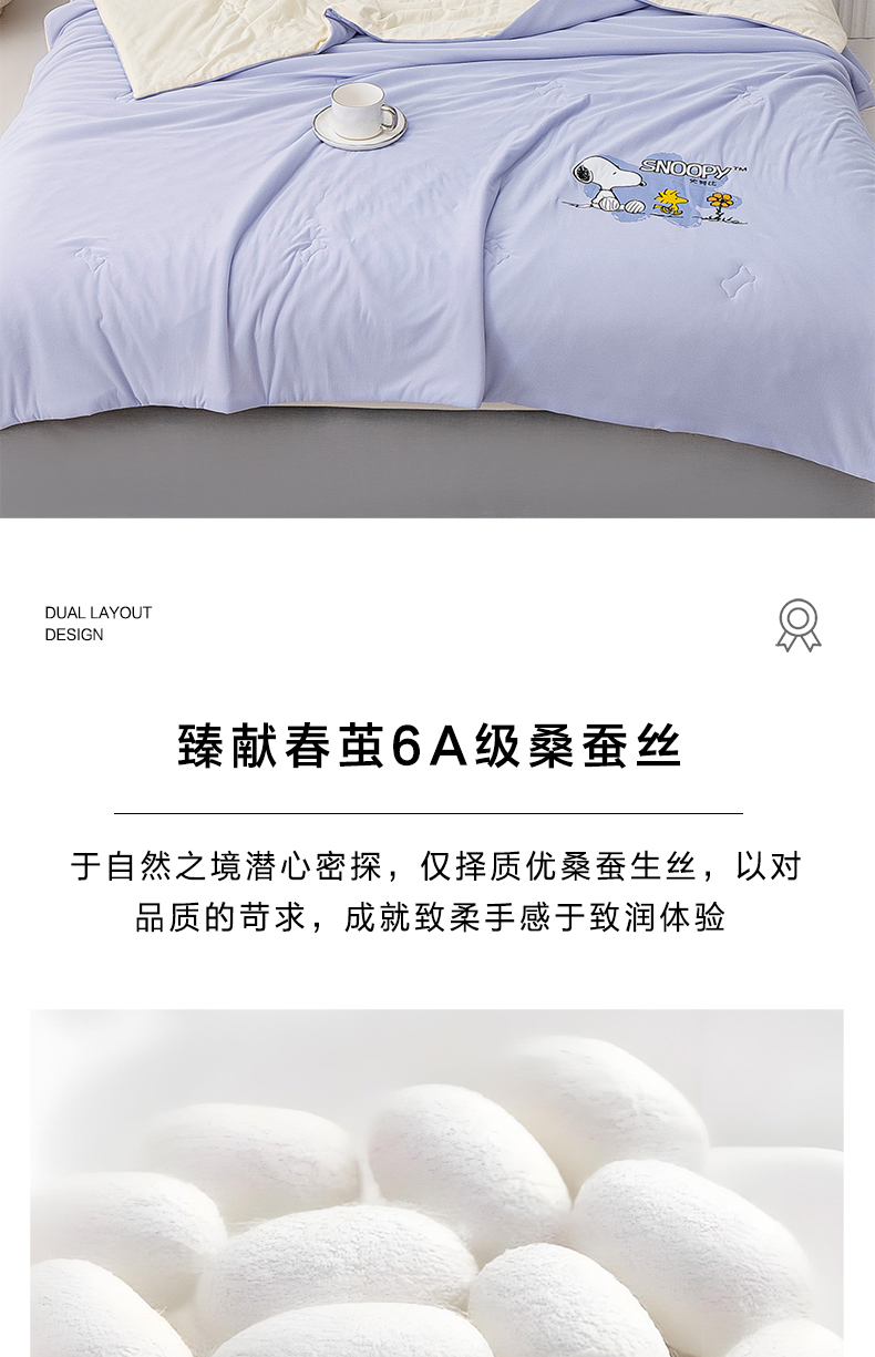 蚕丝蛋白详情切片_05.jpg