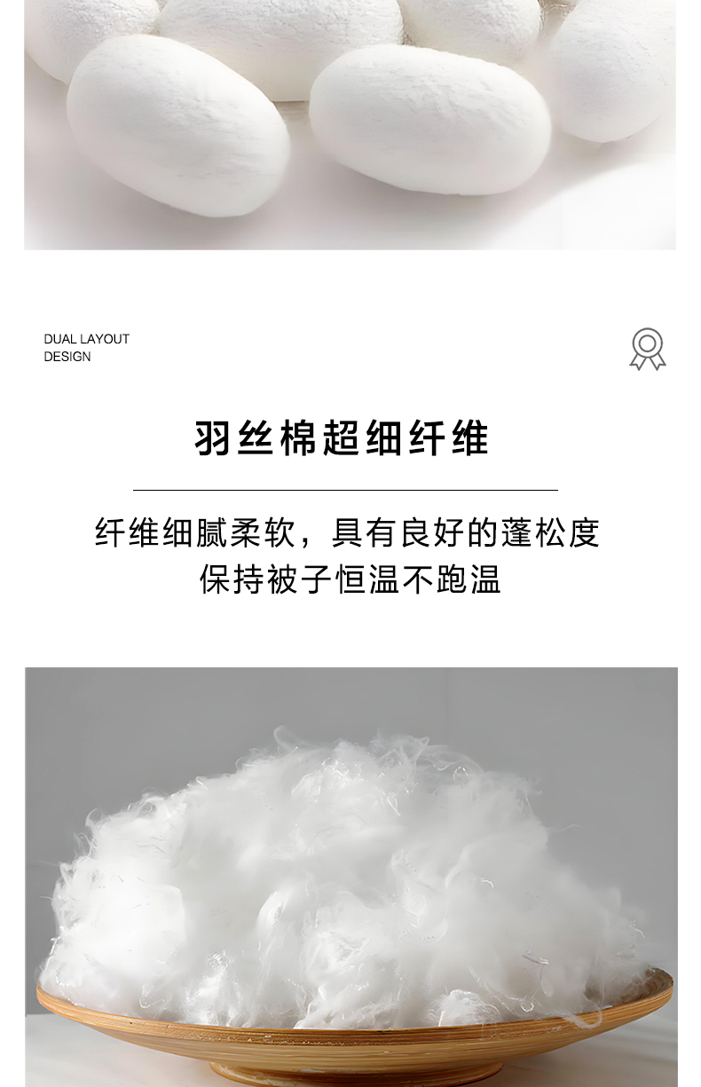 蚕丝蛋白详情切片_06.jpg