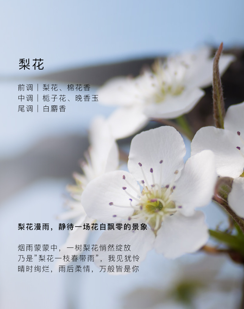 YZ0186_08.jpg