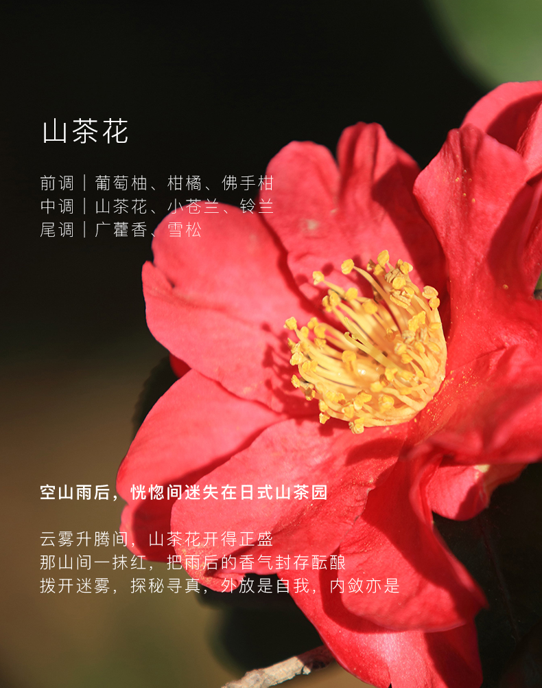 YZ0186_06.jpg