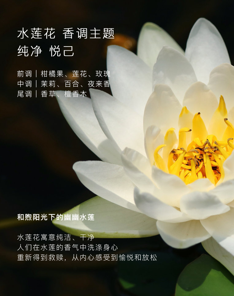 YZ0186_04.jpg
