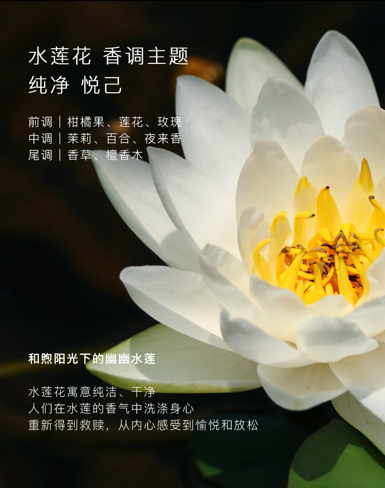 详情图 (9).jpg