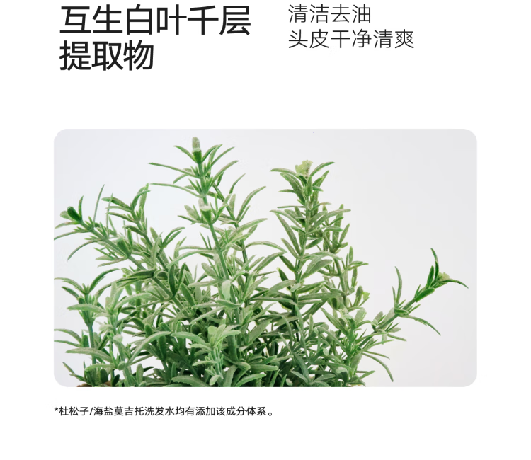 详情-03.png