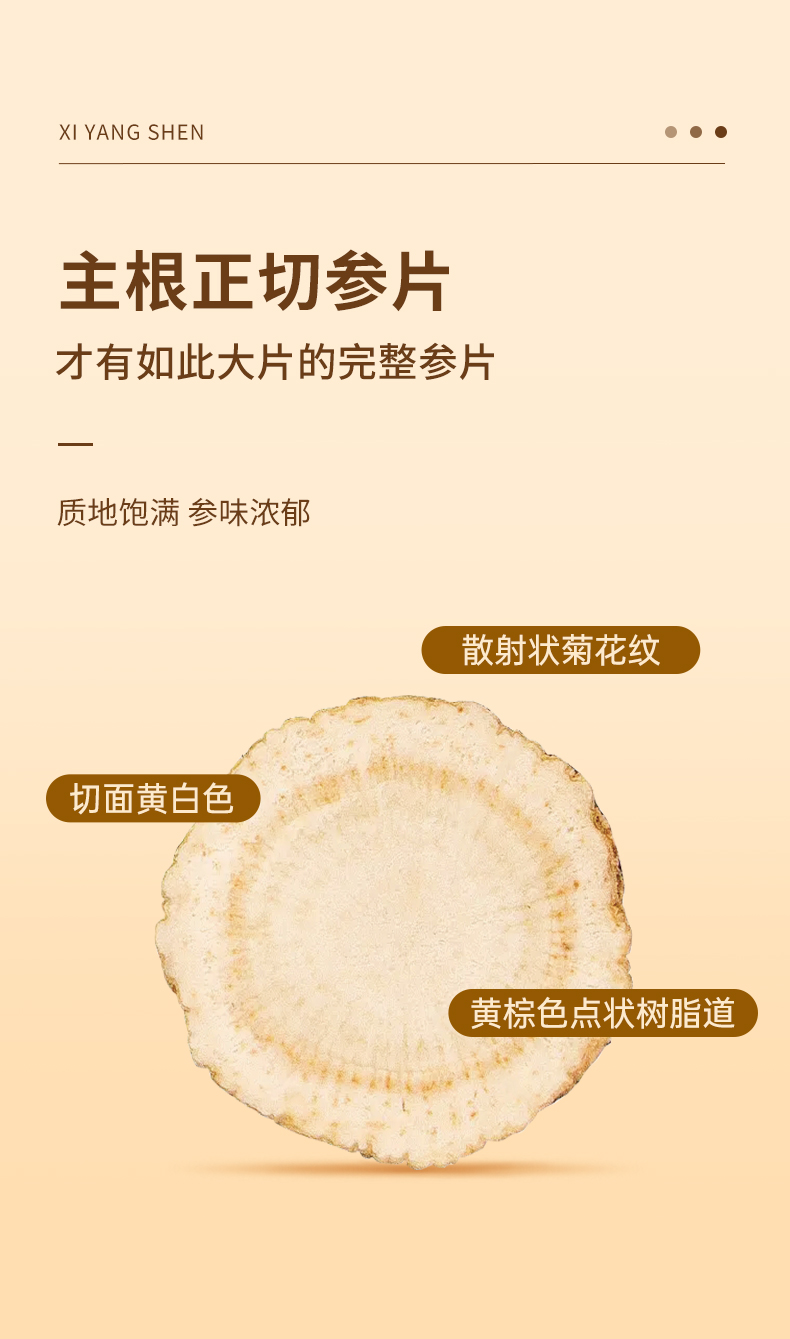参片_03.jpg