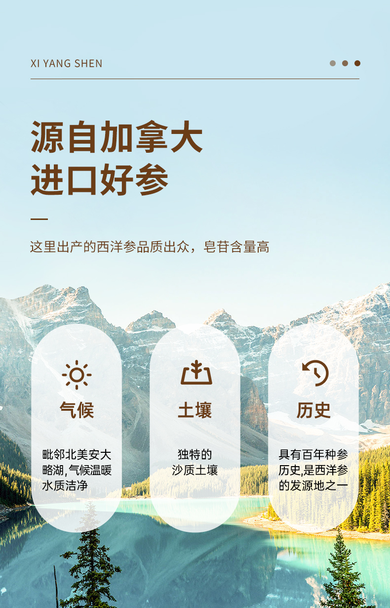 参片_02.jpg